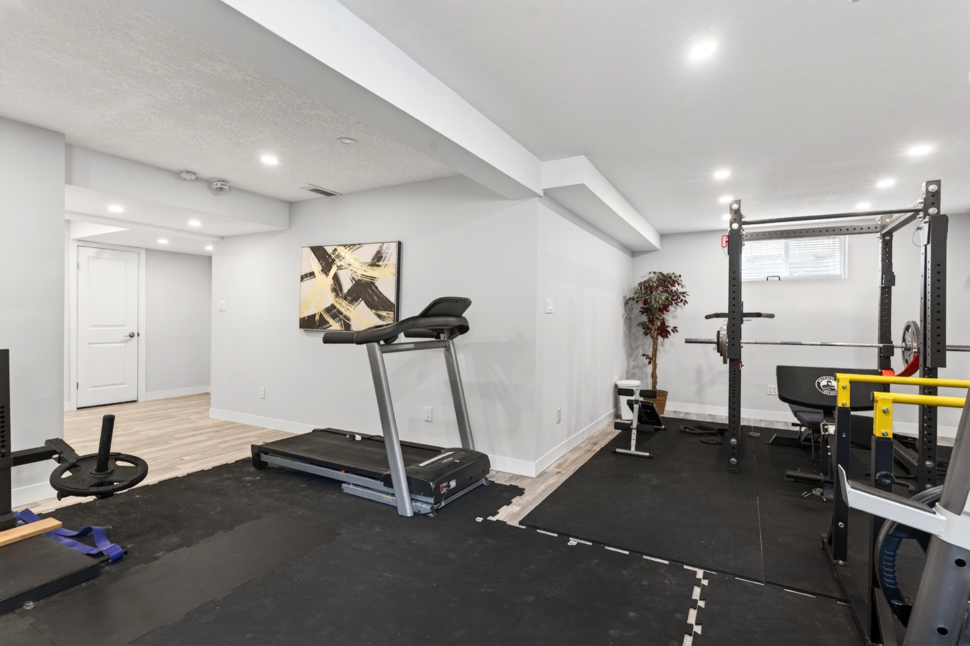 Basement gym